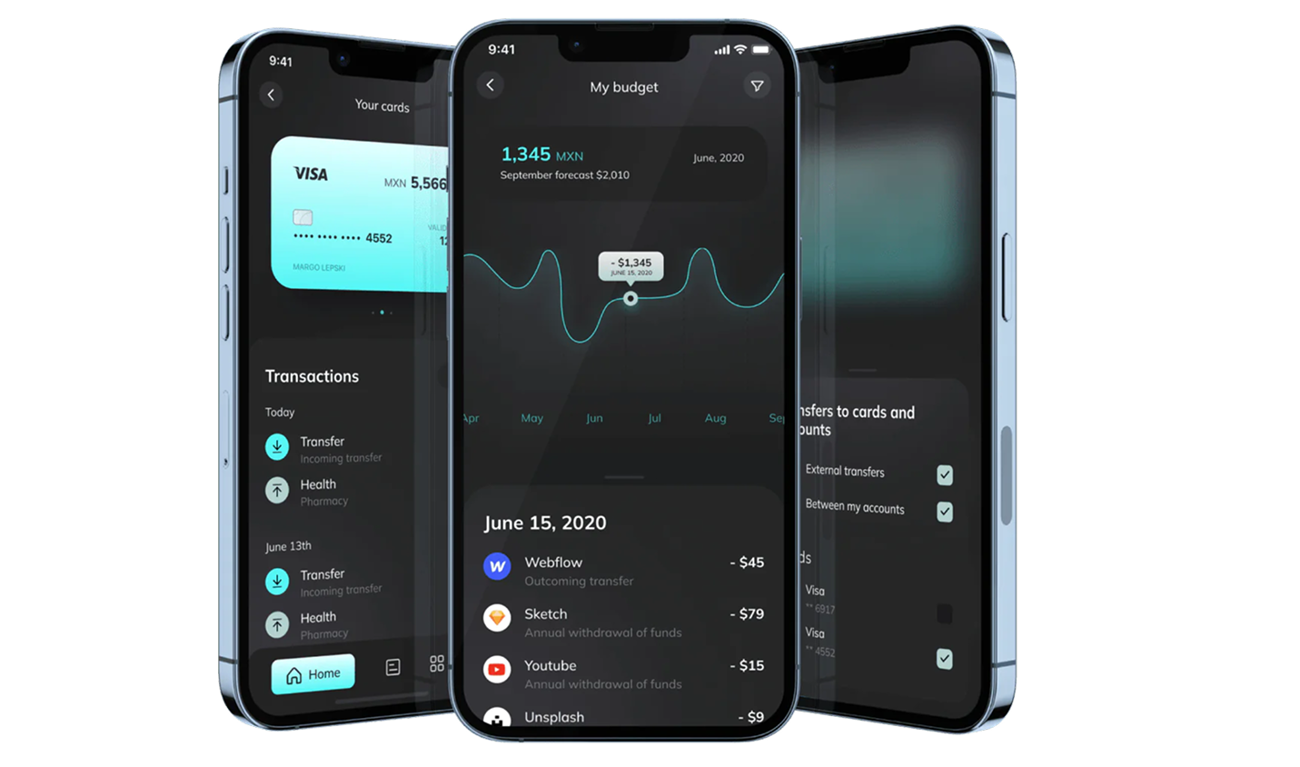 banking software development