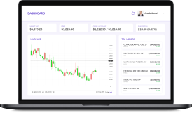 A Web App for Trading Highly Volatile Instruments