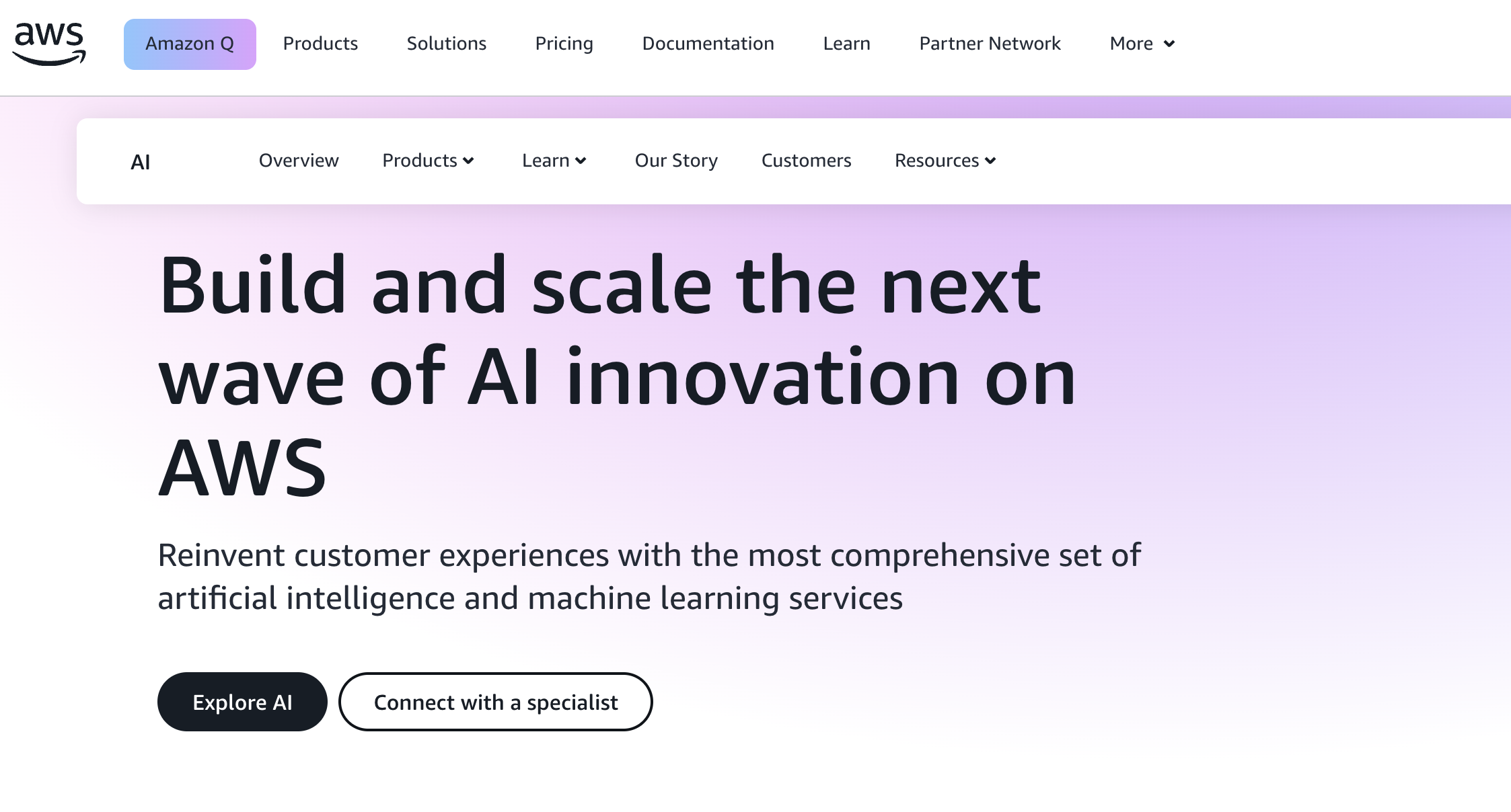 Artificial Intelligence (AI) on AWS
