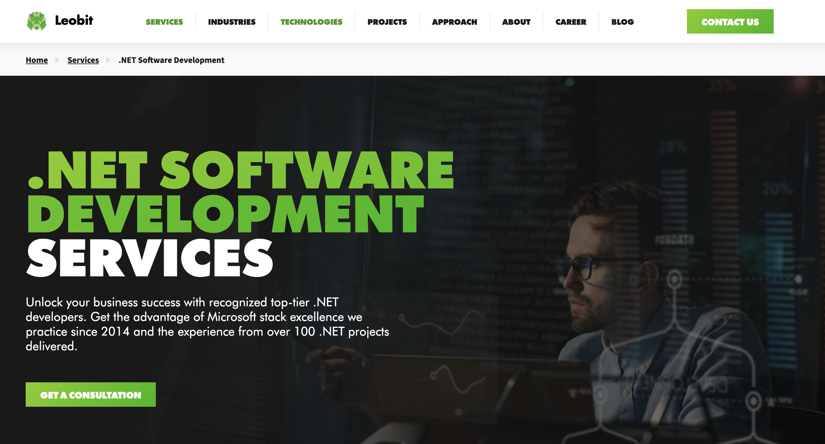 Leobit .NET software development services