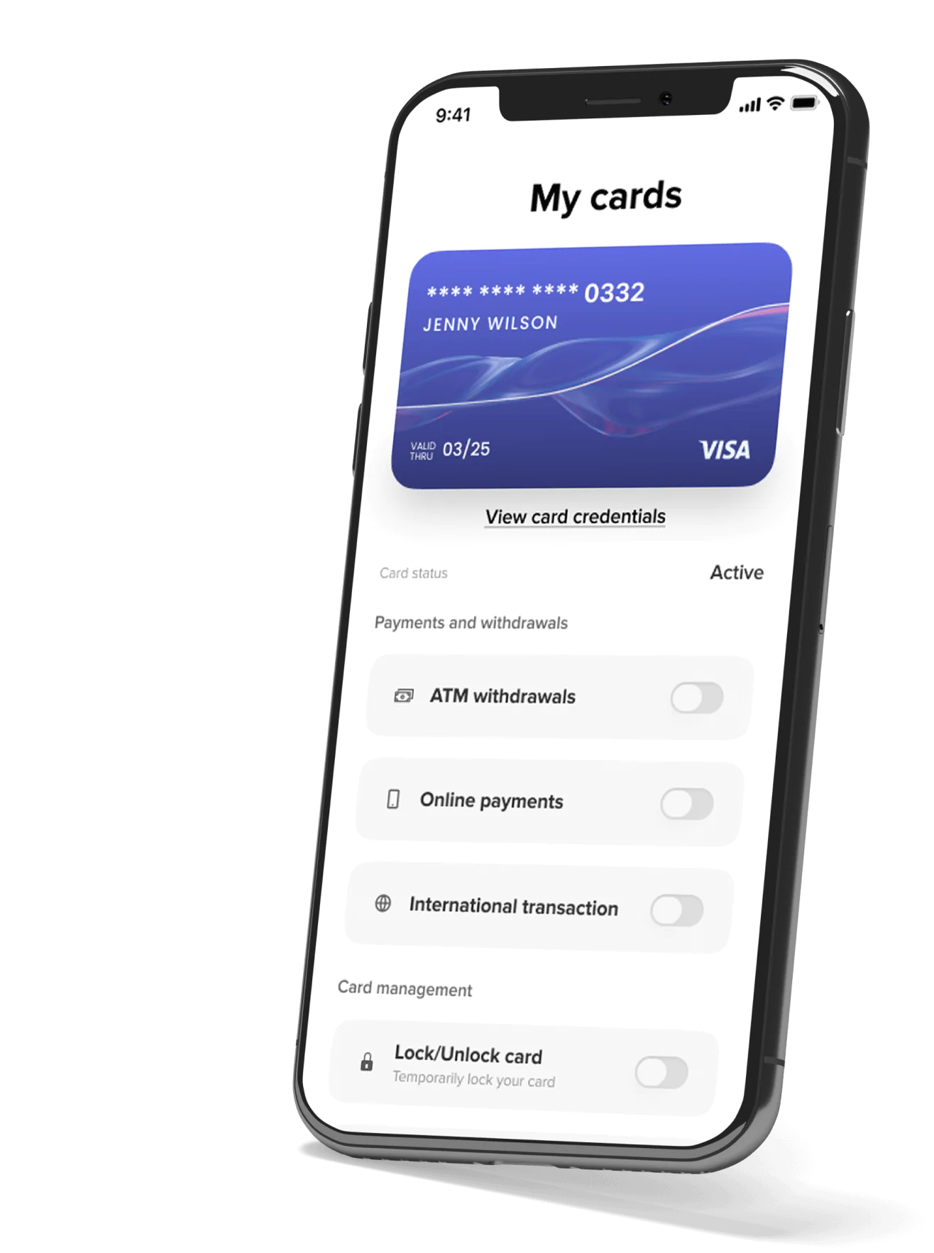 itexus portfolio case